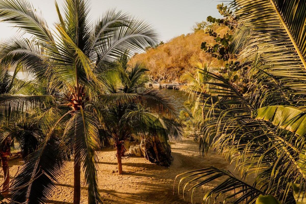 Dream Villa With Private Beach And Catering Zihuatanejo Exteriér fotografie